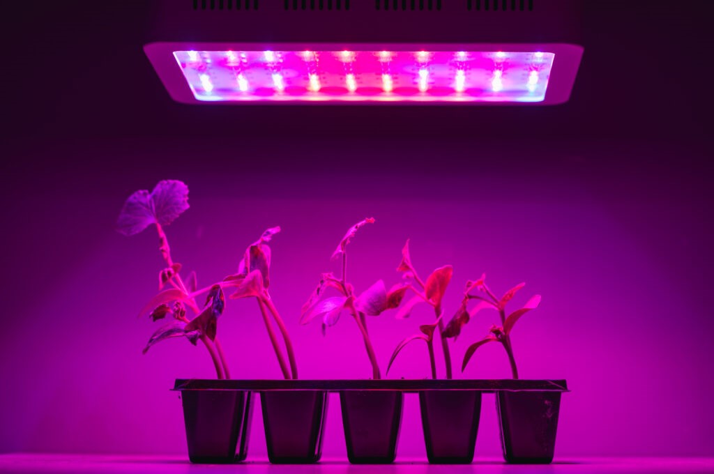 6 Best LED Grow Lights (2024 Guide) - This Old House